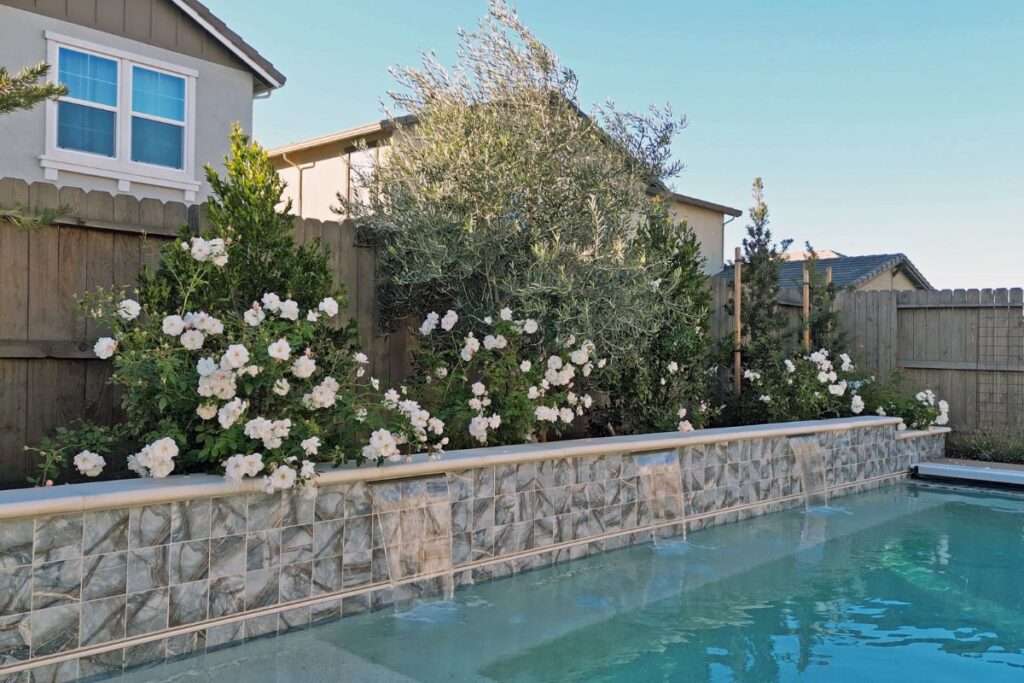 Mediterranean-English Garden