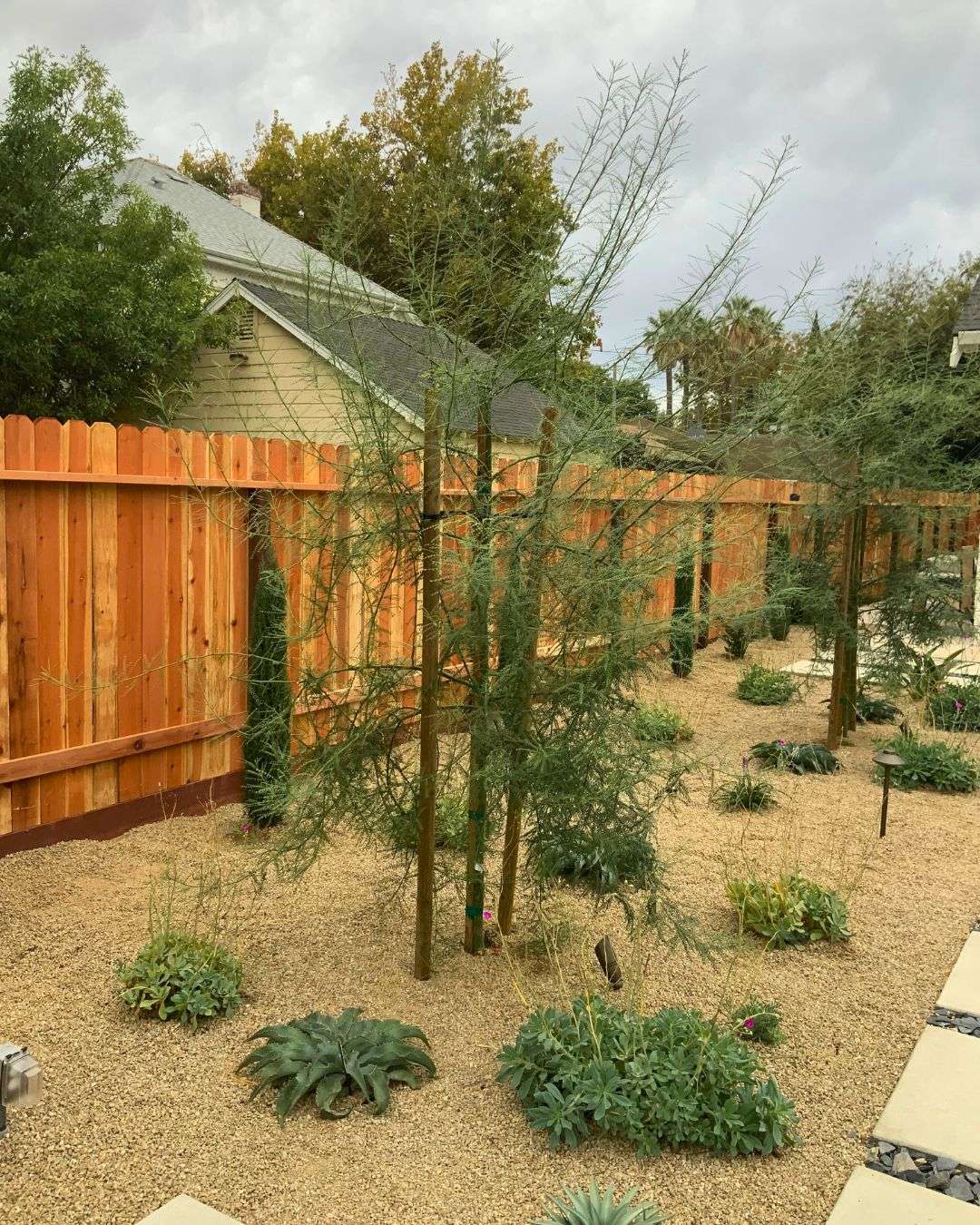 Custom Planting Plan