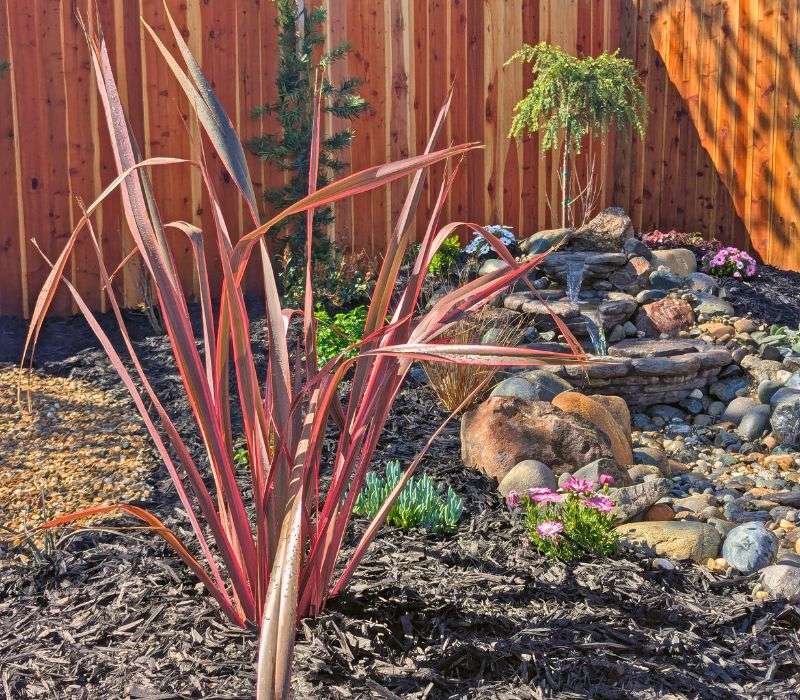 Custom Planting Plan