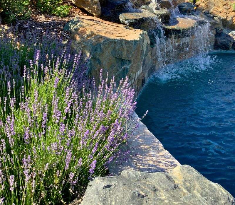 Custom Planting Plan